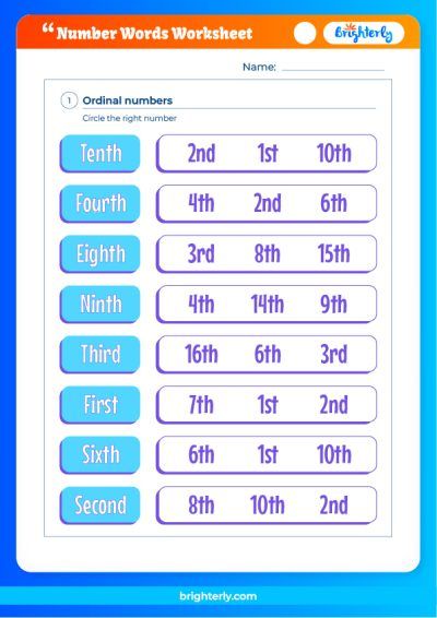 Number Word Worksheet