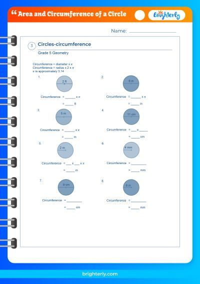 Area And Circumference Worksheet