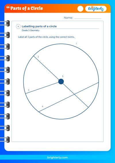 Parts Of Circle Worksheet