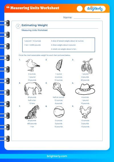 Unit Of Measure Worksheet