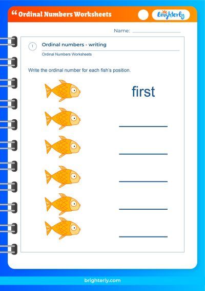 Ordinal Numbers And Position Worksheets