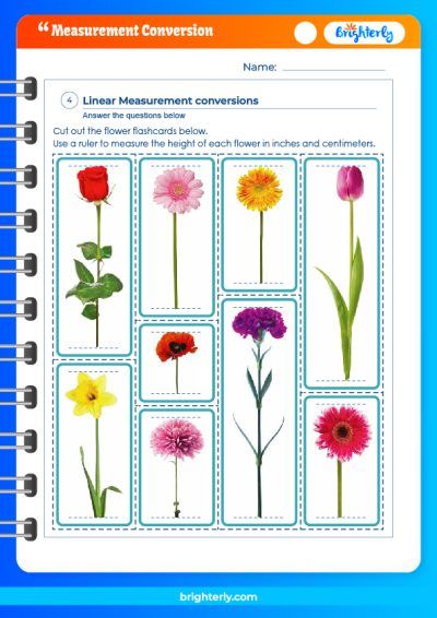 Converting Units Of Measurement Worksheets