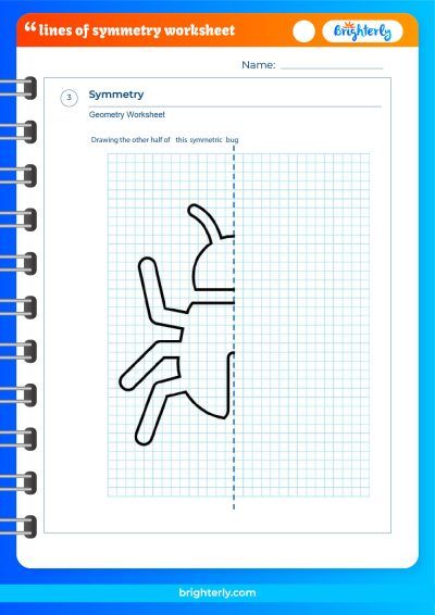 Lines Of Symmetry Worksheet With Answers