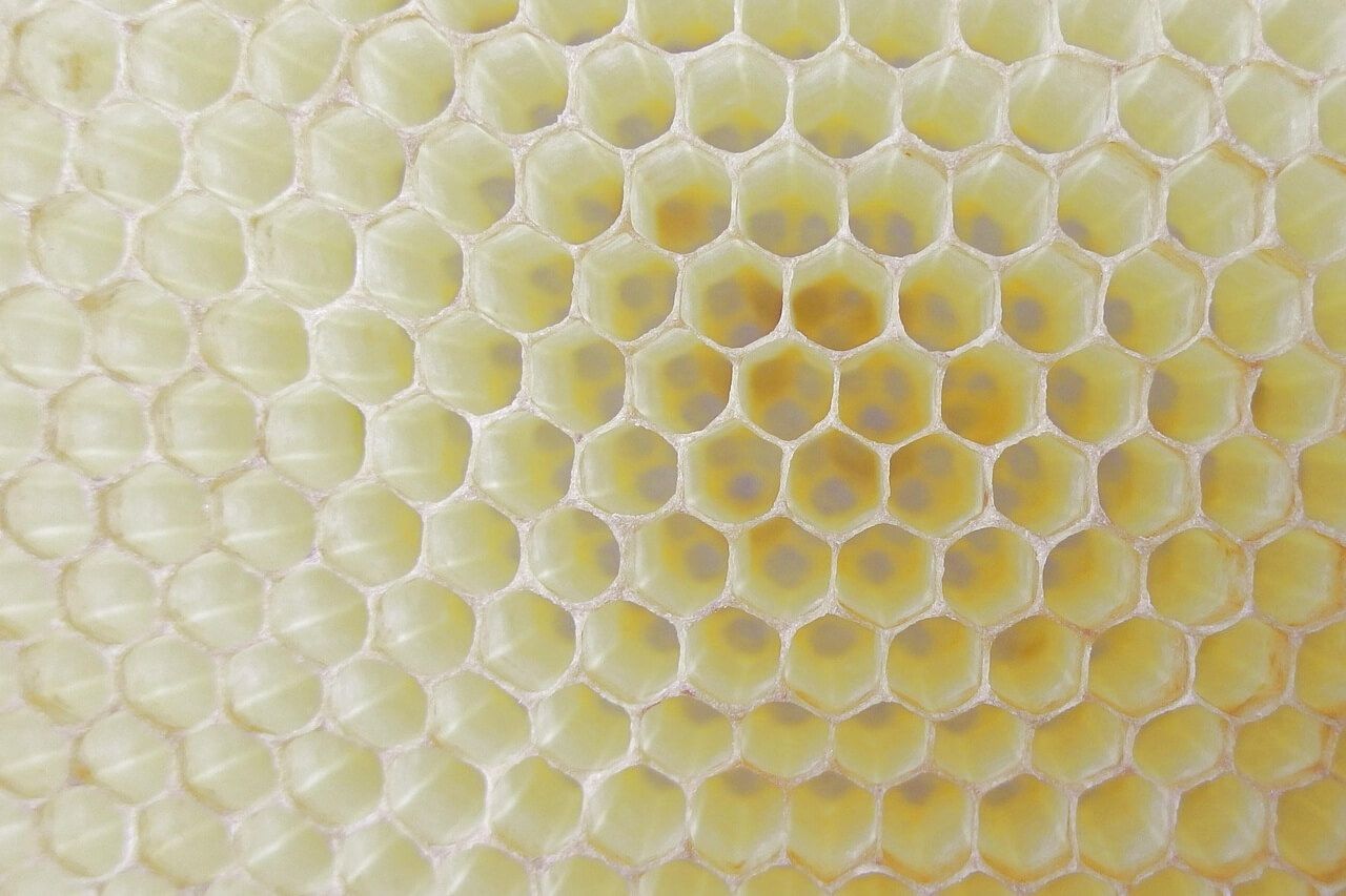 Hexagons in nature