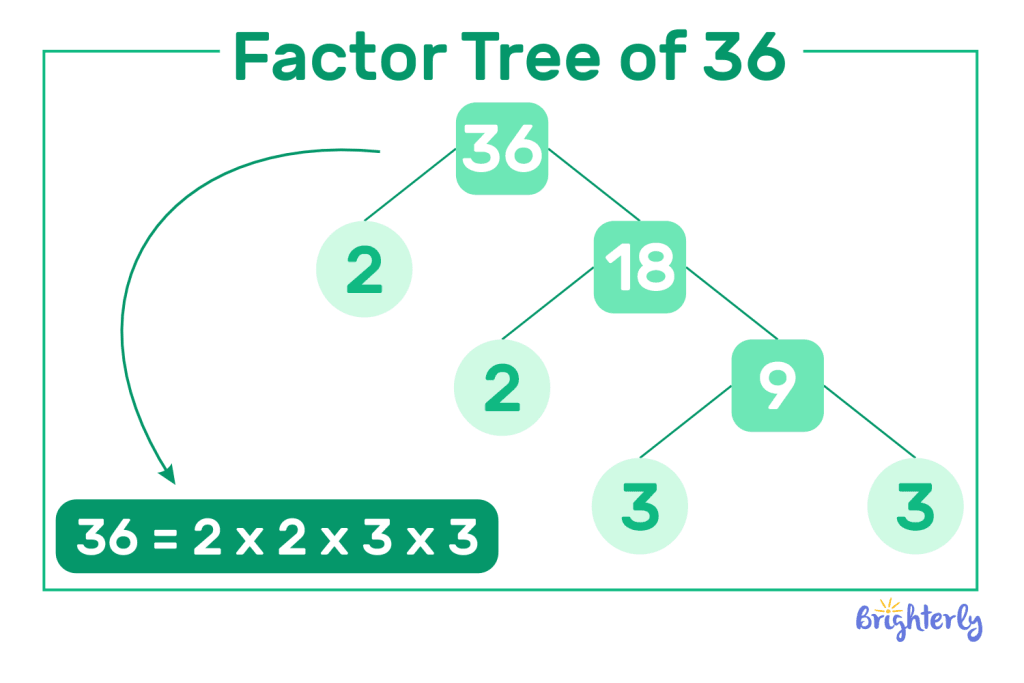 Prime factorization of 36