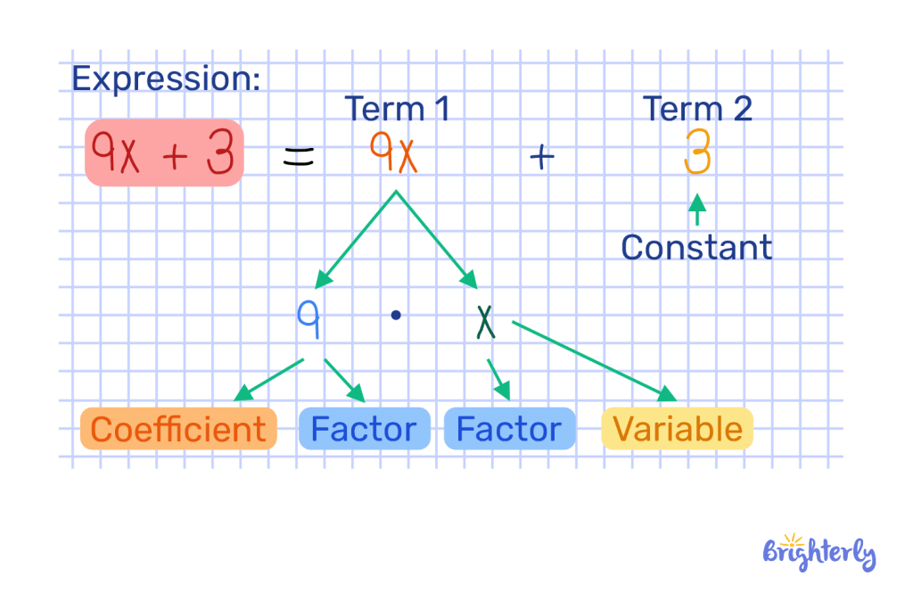 What are the factors of a term?