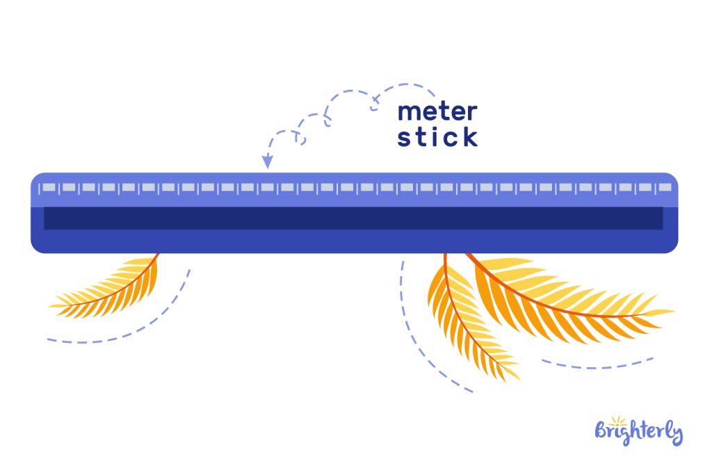 What Is a Meter Stick 1