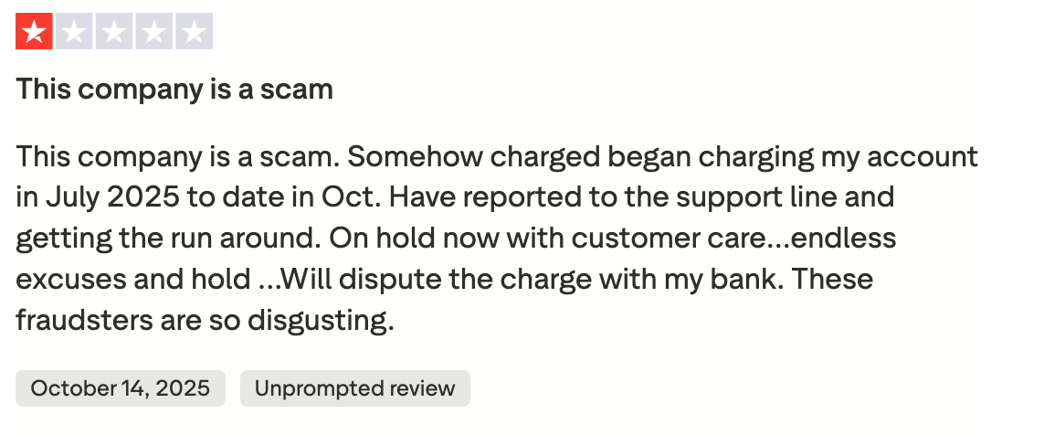 ABCmouse Reviews: What Parents Say