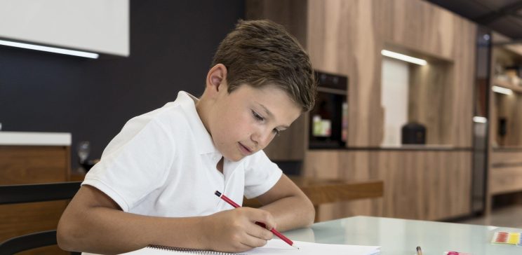 How to Write an Essay Step by Step Guide