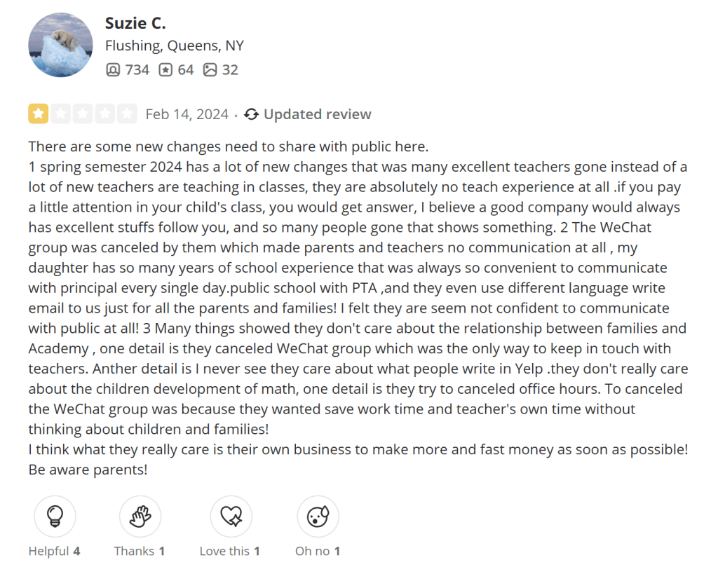 What advantages and disadvantages does Think Academy offer?