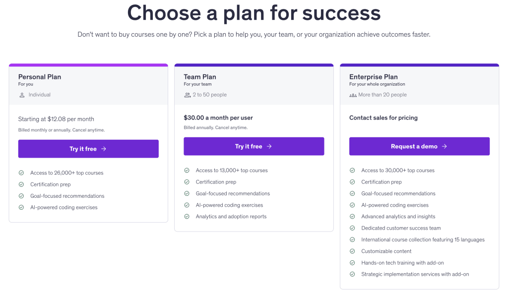 How does Udemy pricing work?
