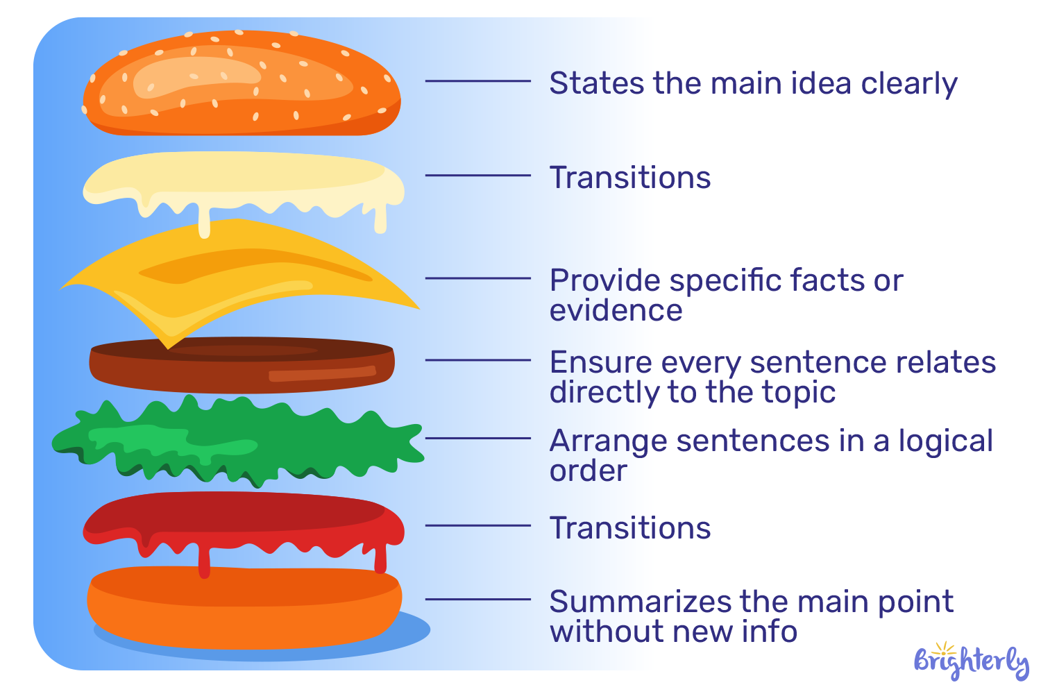 Hamburger paragraph structure