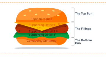 Hamburger Paragraph: Definition & Rules for Writing