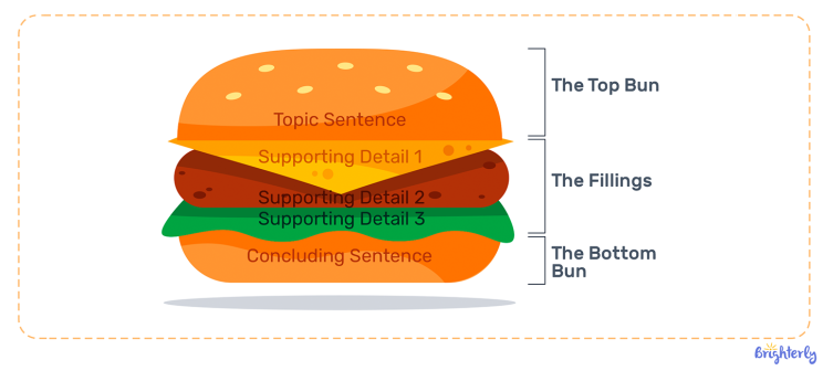Hamburger Paragraph: Definition & Rules for Writing