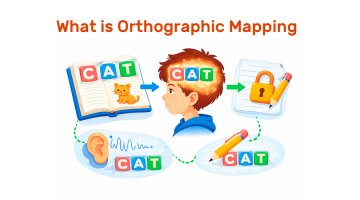What Is Orthographic Mapping? A Parent's Guide to How Kids Learn to Read
