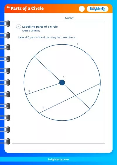 Parts Of Circle Worksheet