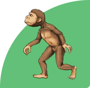 Number operations up to 200 and adventures with dryopithecus