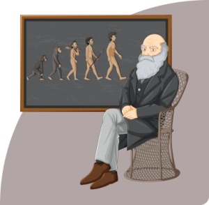 Exploring rational numbers and understanding human evolution