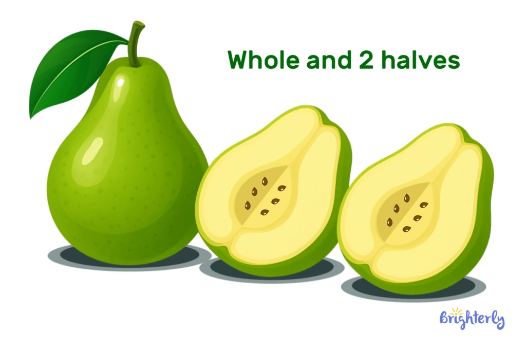 Properties of halves in relation to a whole