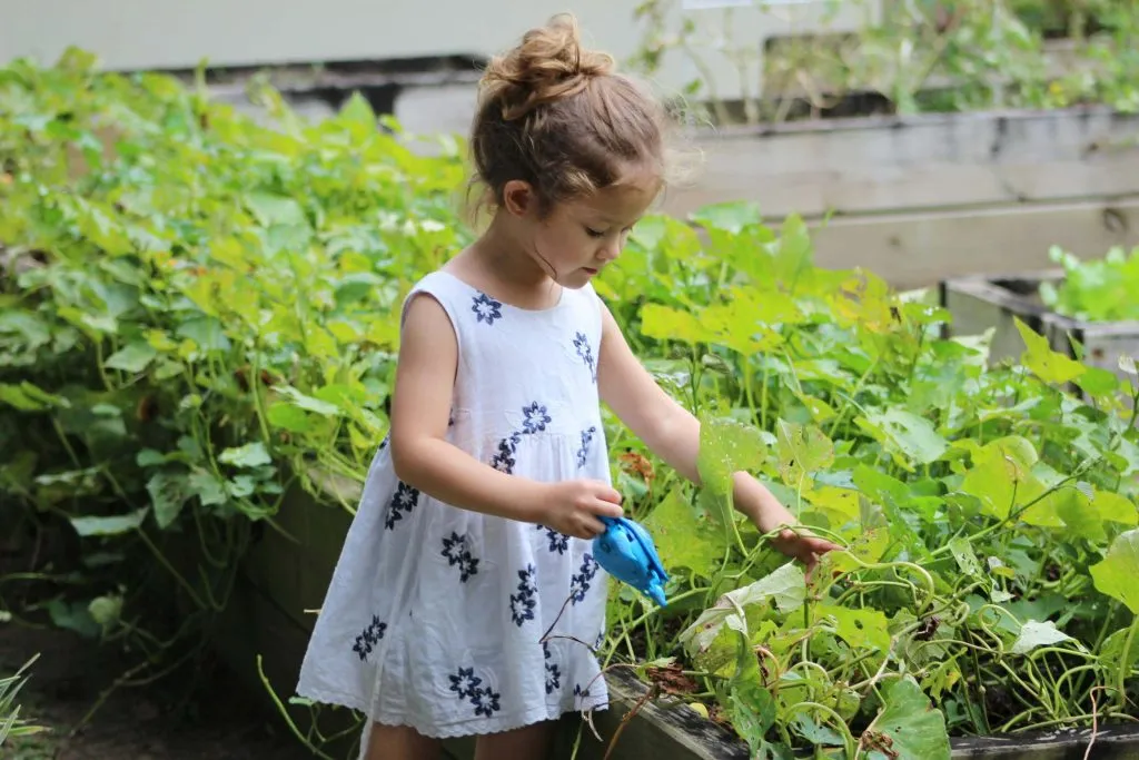 Enrichment activities for kids #6: Gardening