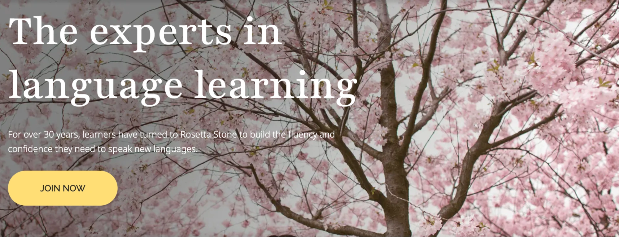 Rosetta Stone – Best for Immersive Language Learning