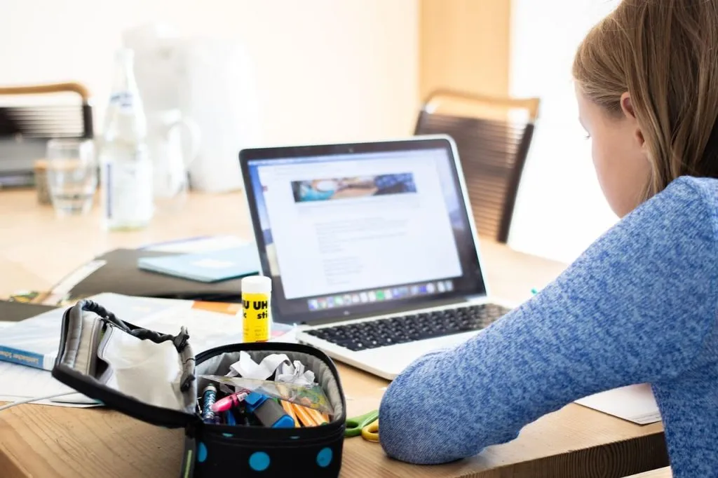Example of blended learning #2: Flipped classroom video lesson