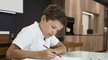 How to Write an Essay Step by Step Guide