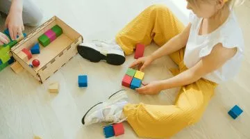 Previous Article Image