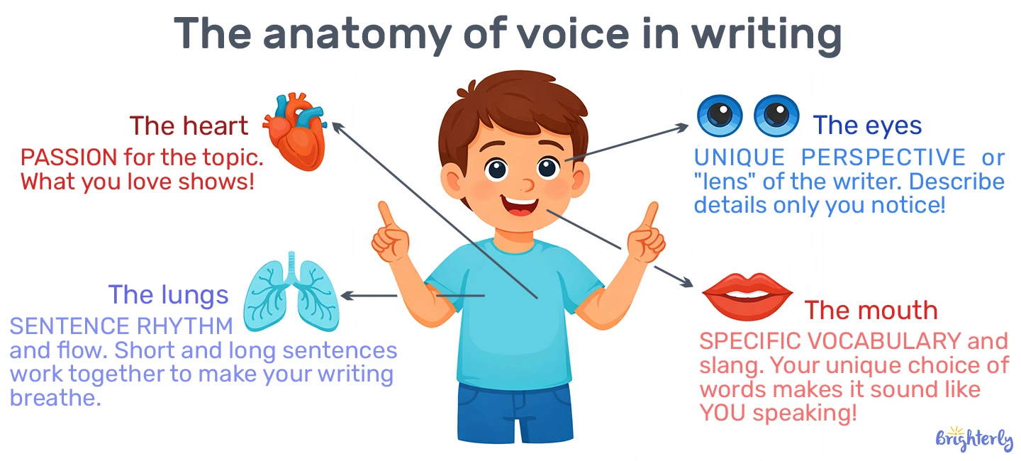What does voice mean in writing?