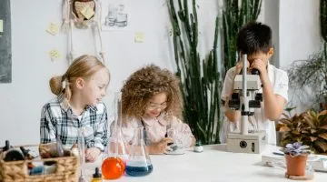 What Do 3rd Graders Learn? Key Subjects & Skills