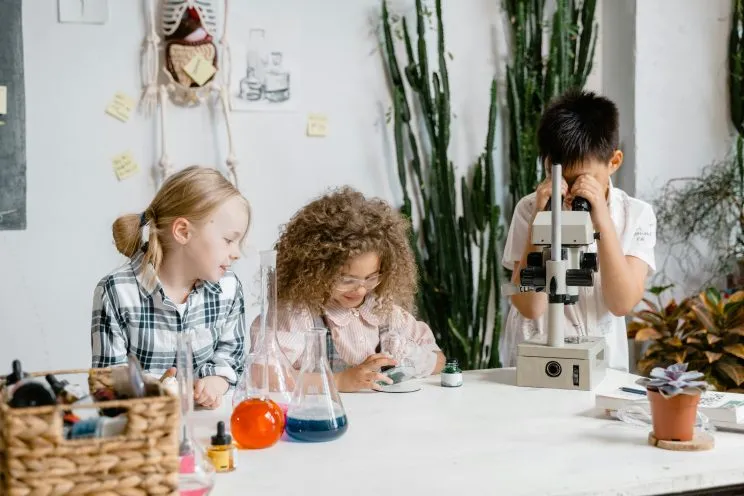 What Do 3rd Graders Learn? Key Subjects & Skills